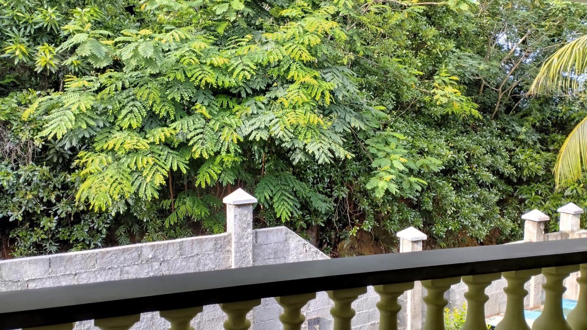 Dovass Self Catering Apartments Takamaka Rum bild